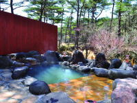 宮崎県で貸切風呂が愉しめる宿　国民宿舎　えびの高原荘